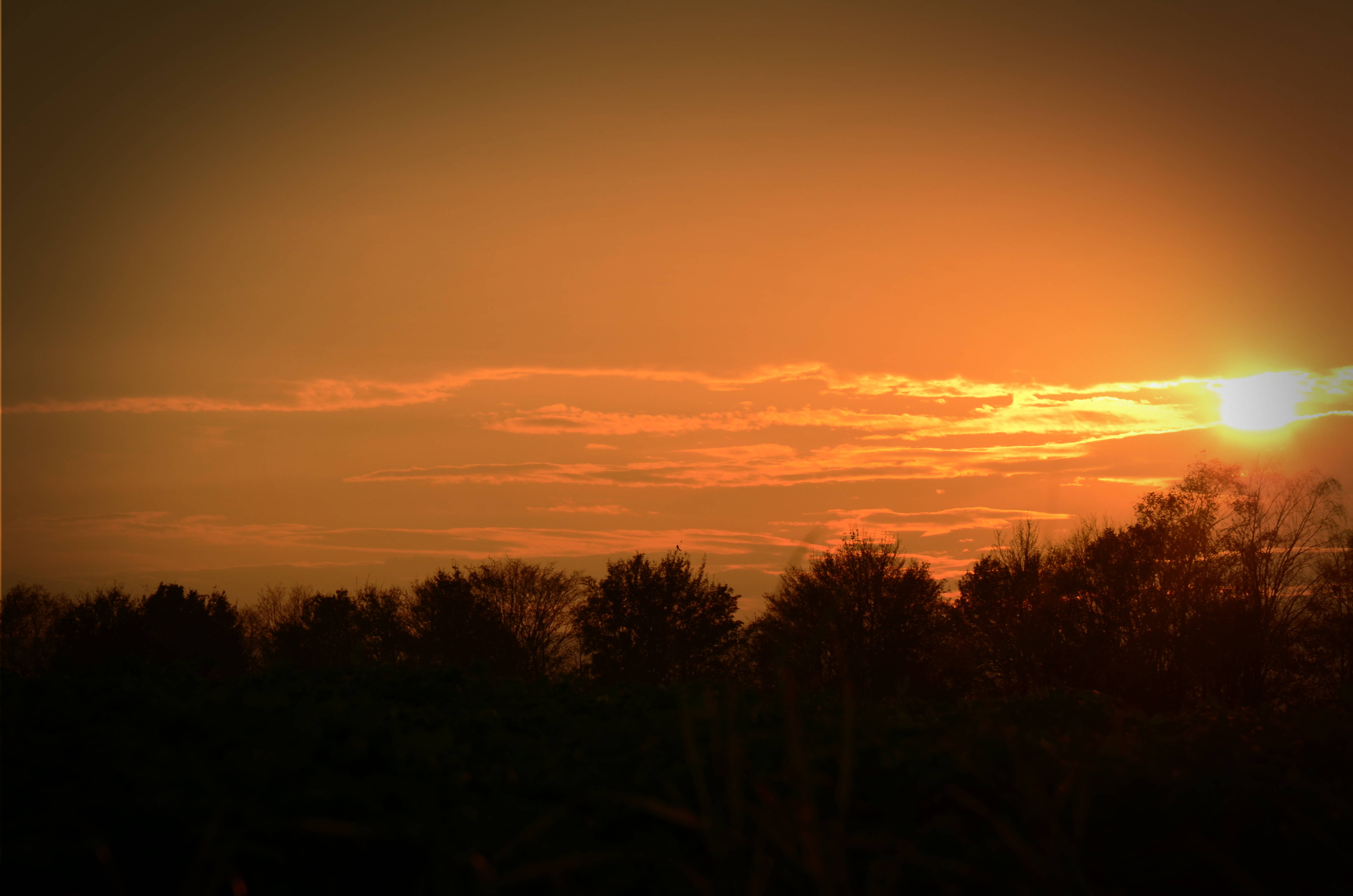 Farbenspiel der Sonne