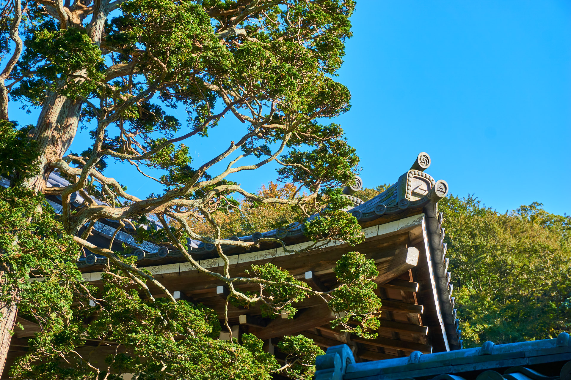 Tempel bei Kamakura