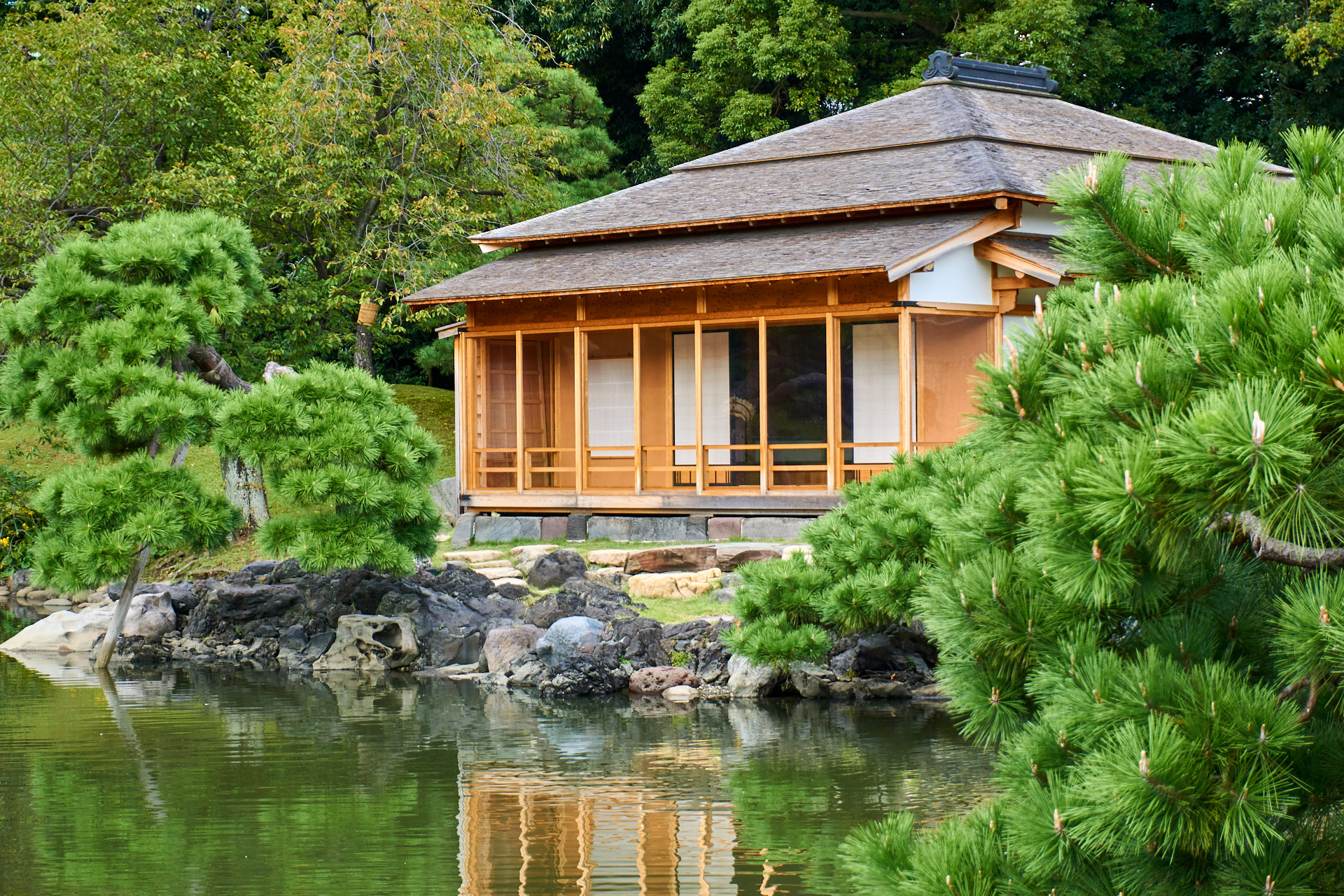 Hamarikyu Garden #3