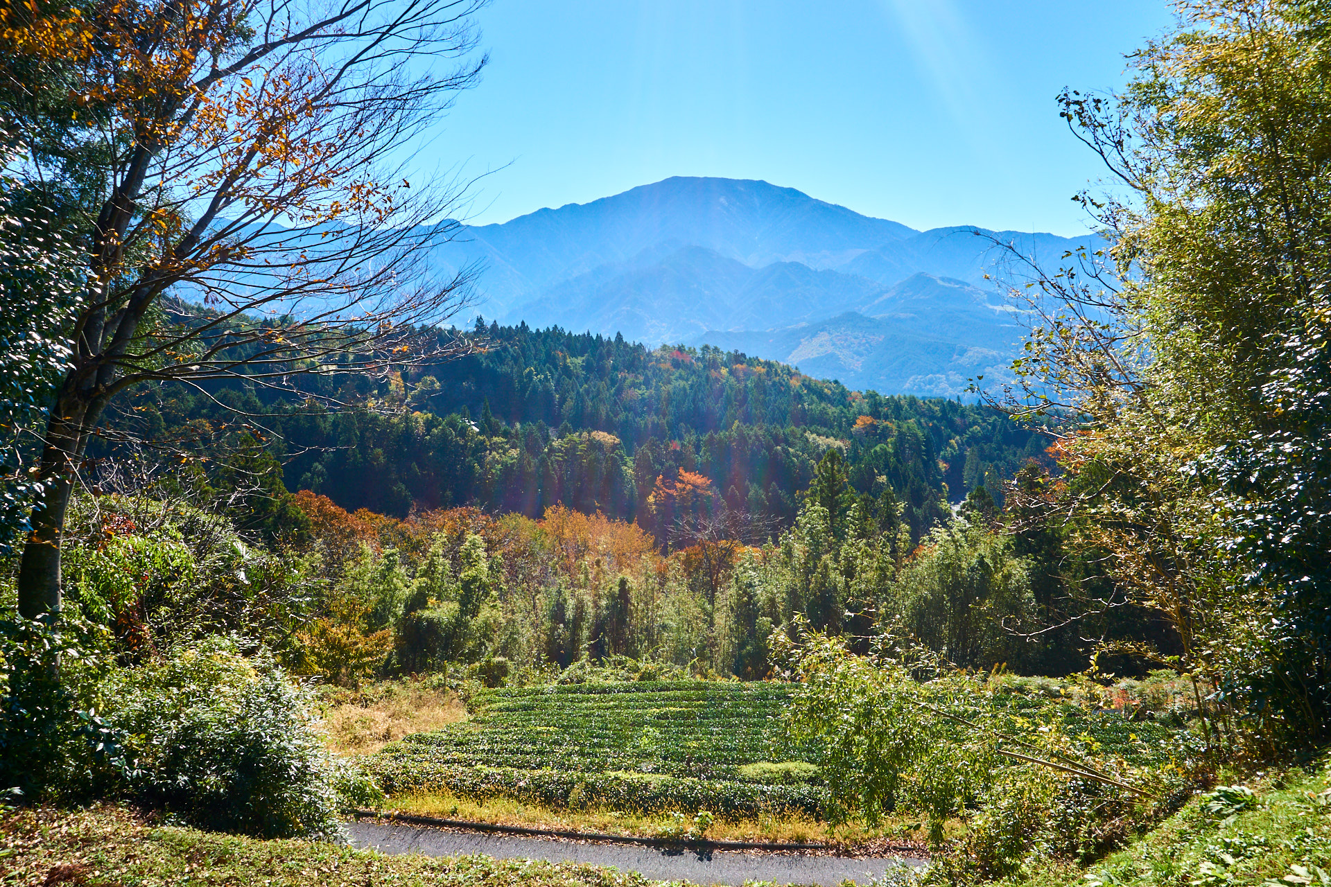 Ausblick von Magome aus auf den Berg Ena