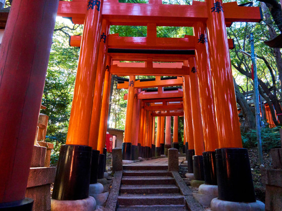 Roten Tore des Fushimi Inari Taisha Schreins
