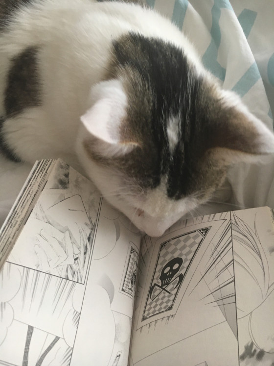 Mein Kater beim Manga lesen Teil1 XD