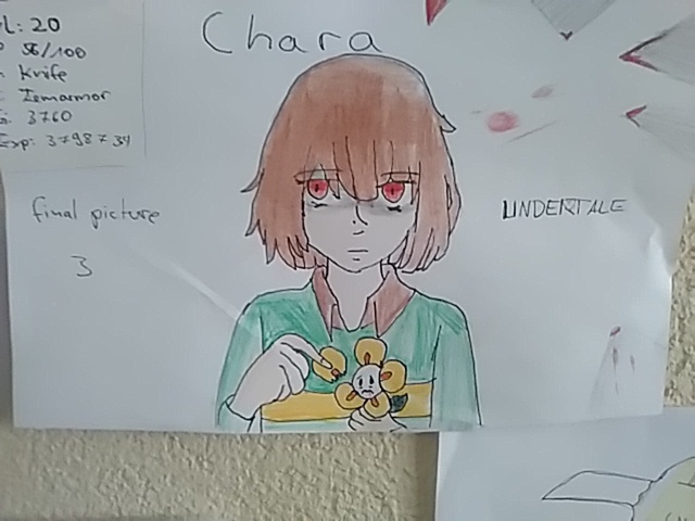 Chara aus Undertale