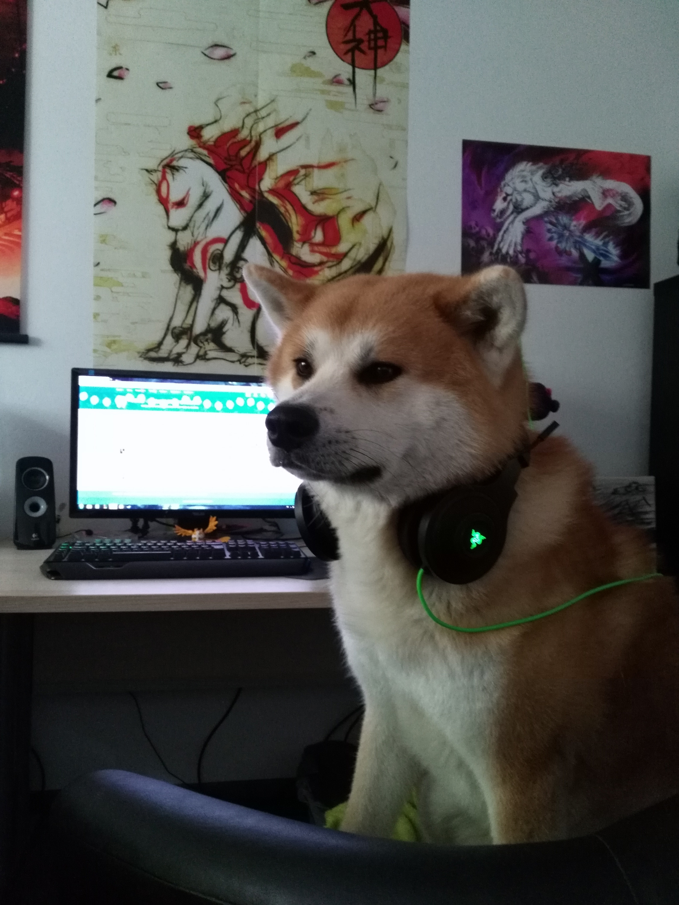 Gamerdoggo