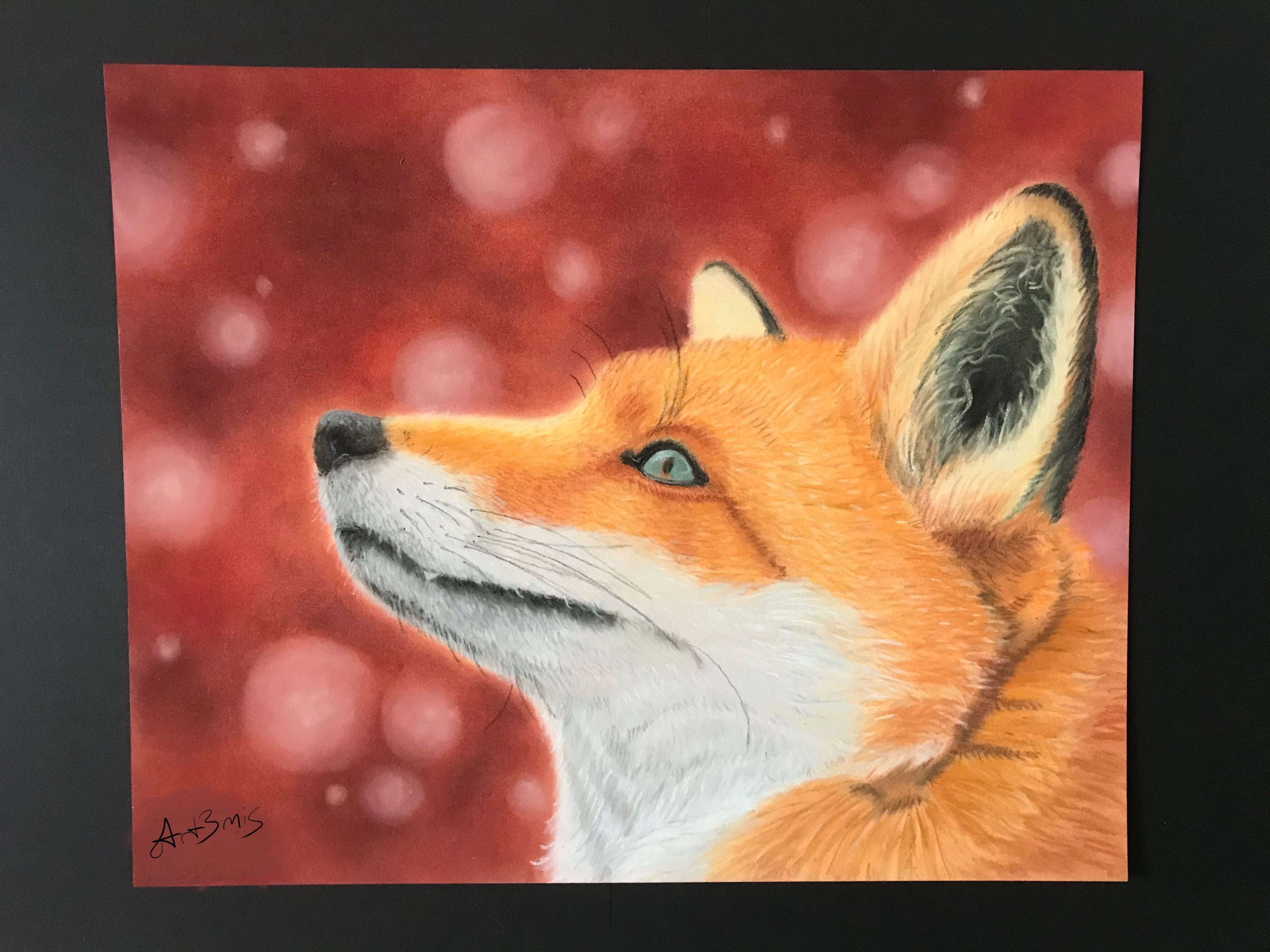 Fuchs PanPastel