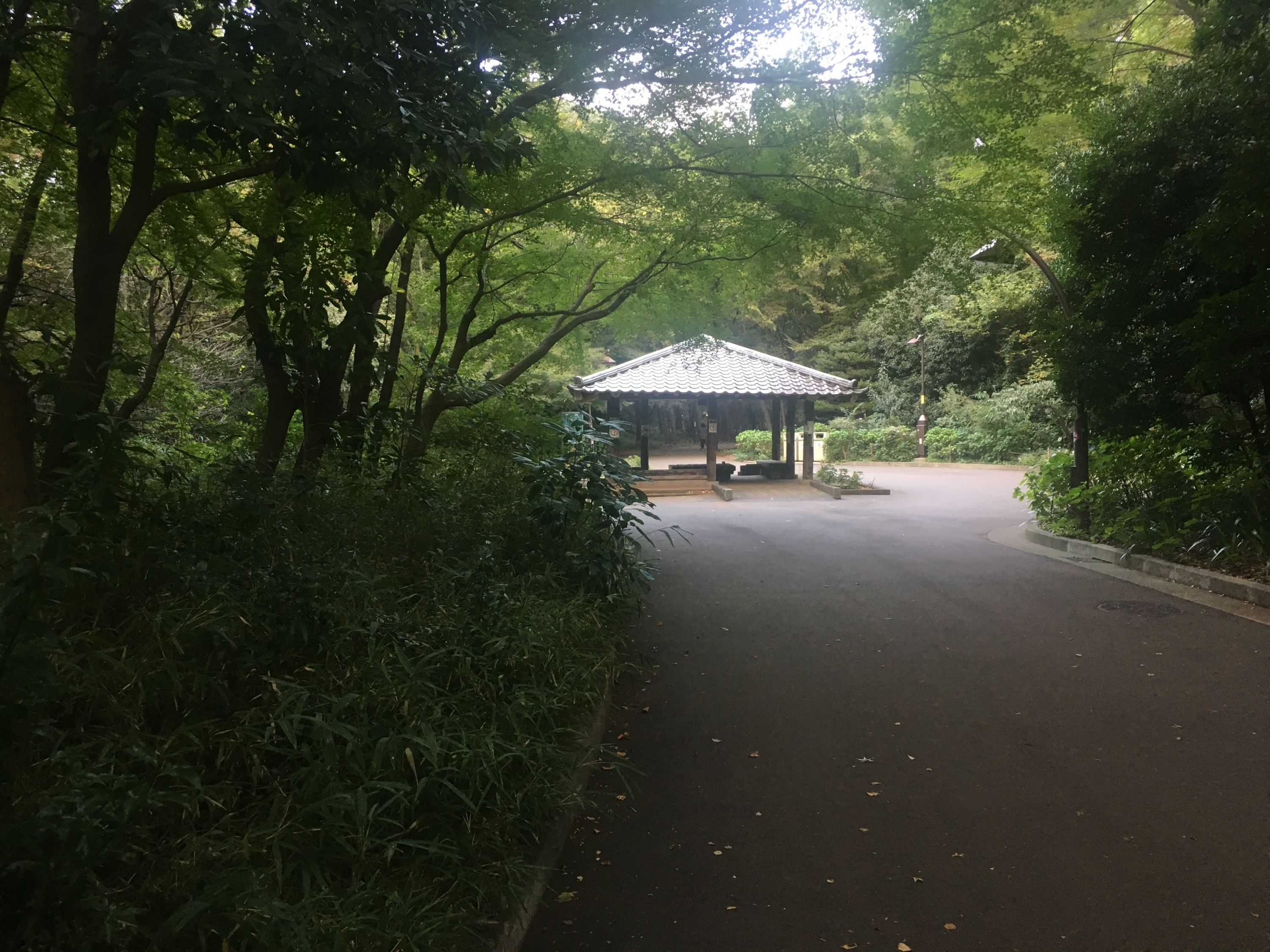 Vogelliebhaber Häuschen im Hikarigaoka Park