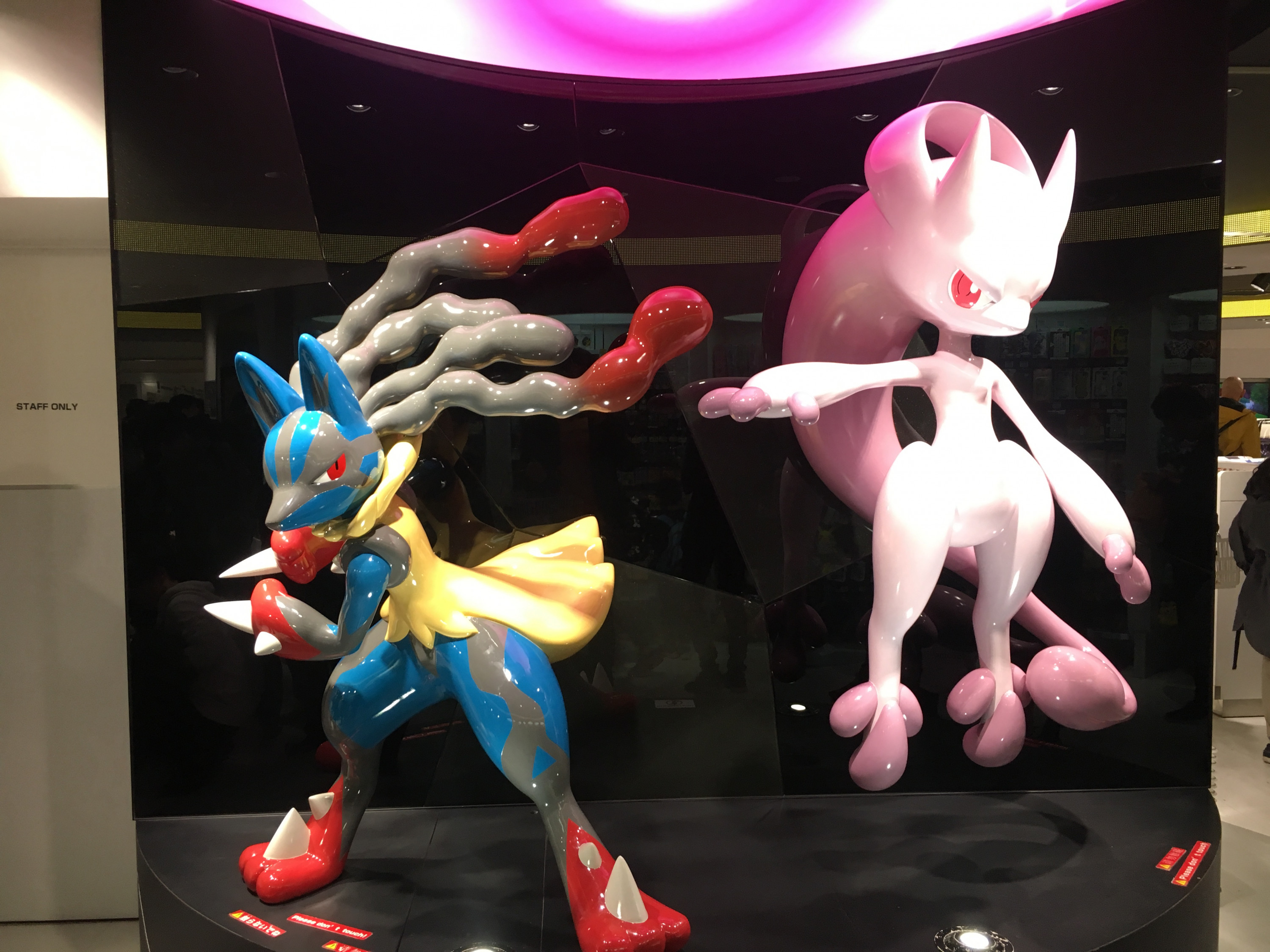 Mega Lucario vs Mega Mewtwo Y