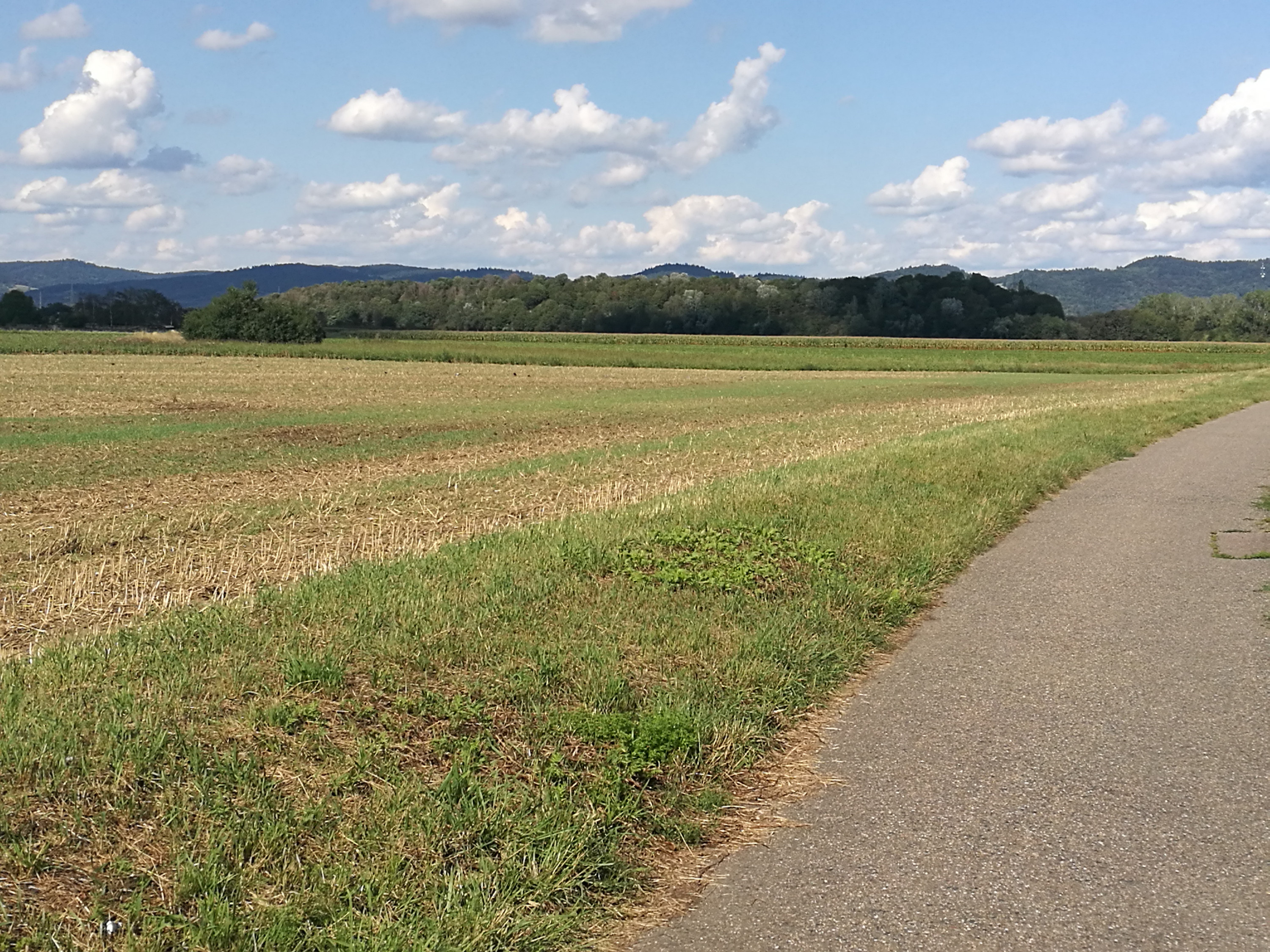 Jogging Route- Mittlere Felder