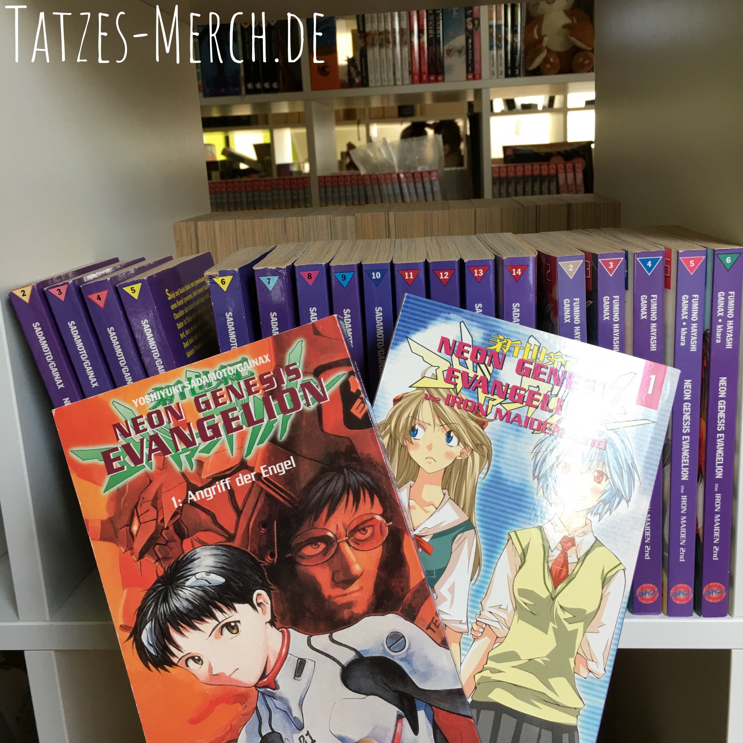 [Meine Sammlung] Neon Genesis Evangelion - deutsche Manga