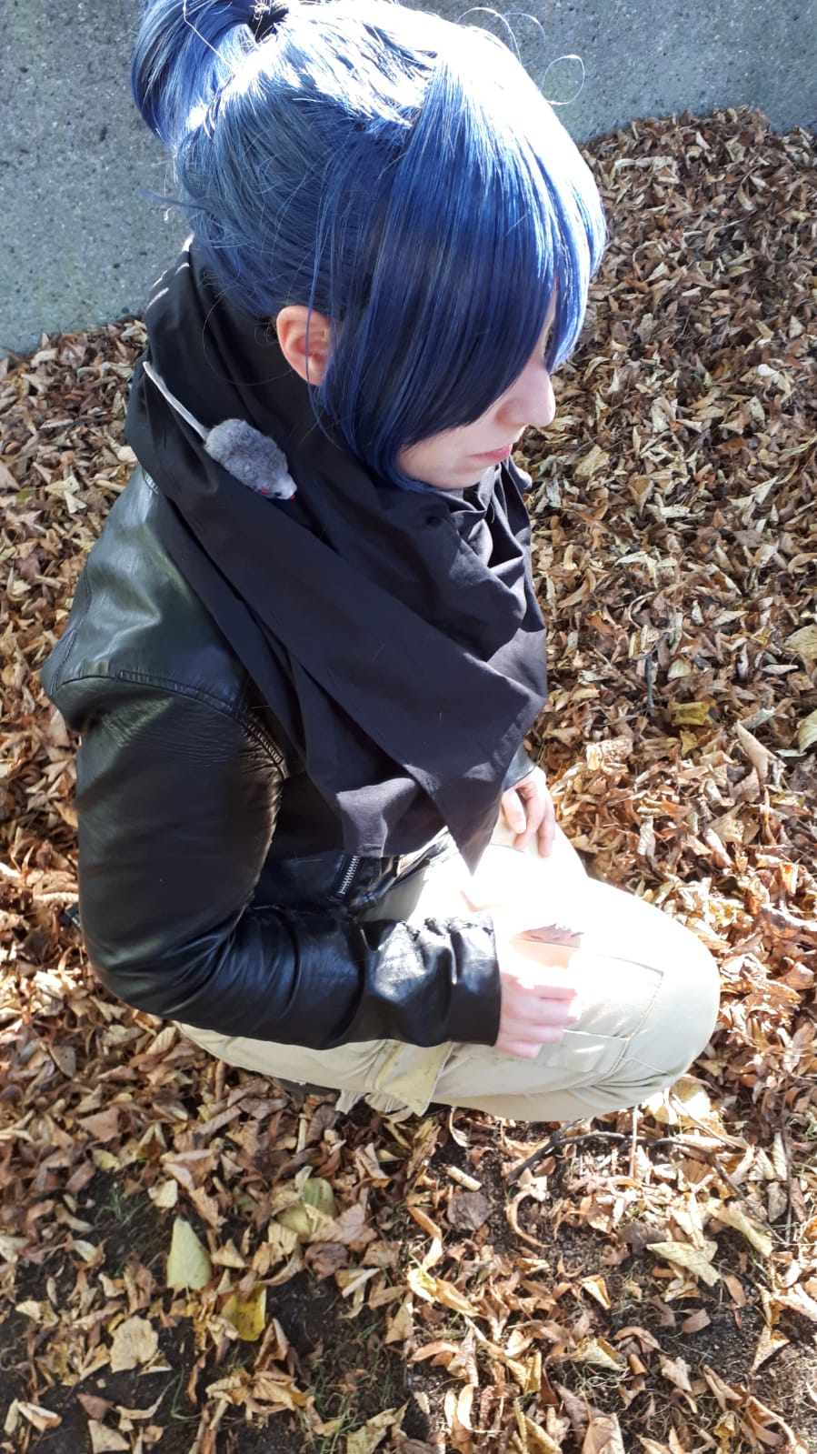 Nezumi N.6