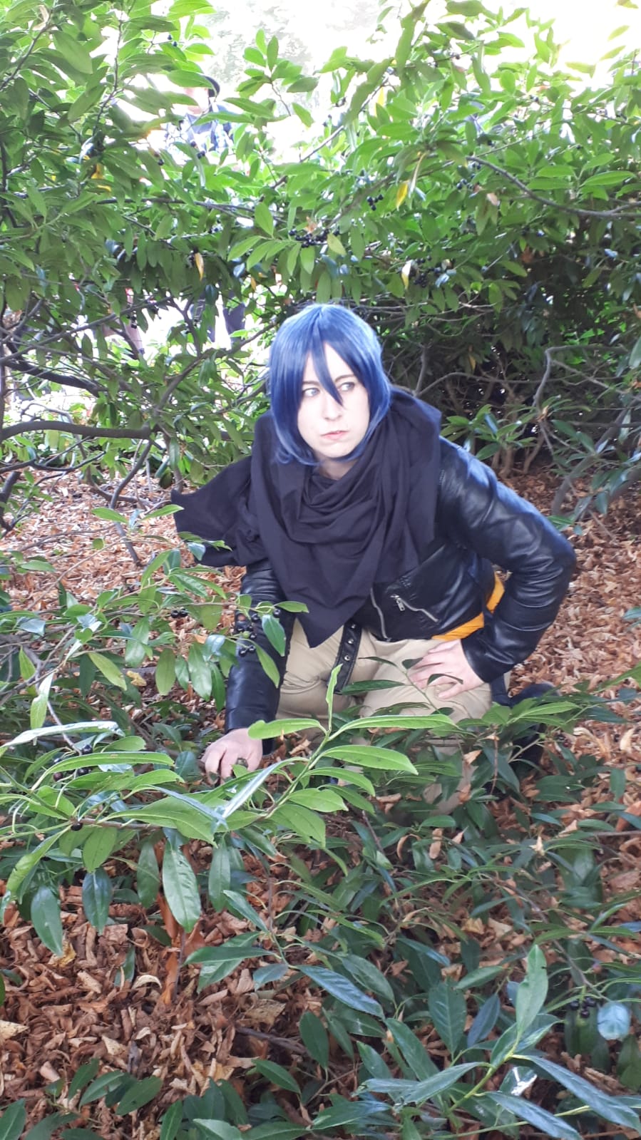 Nezumi N.6