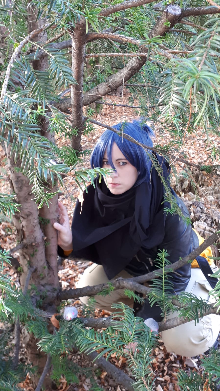 Nezumi N.6