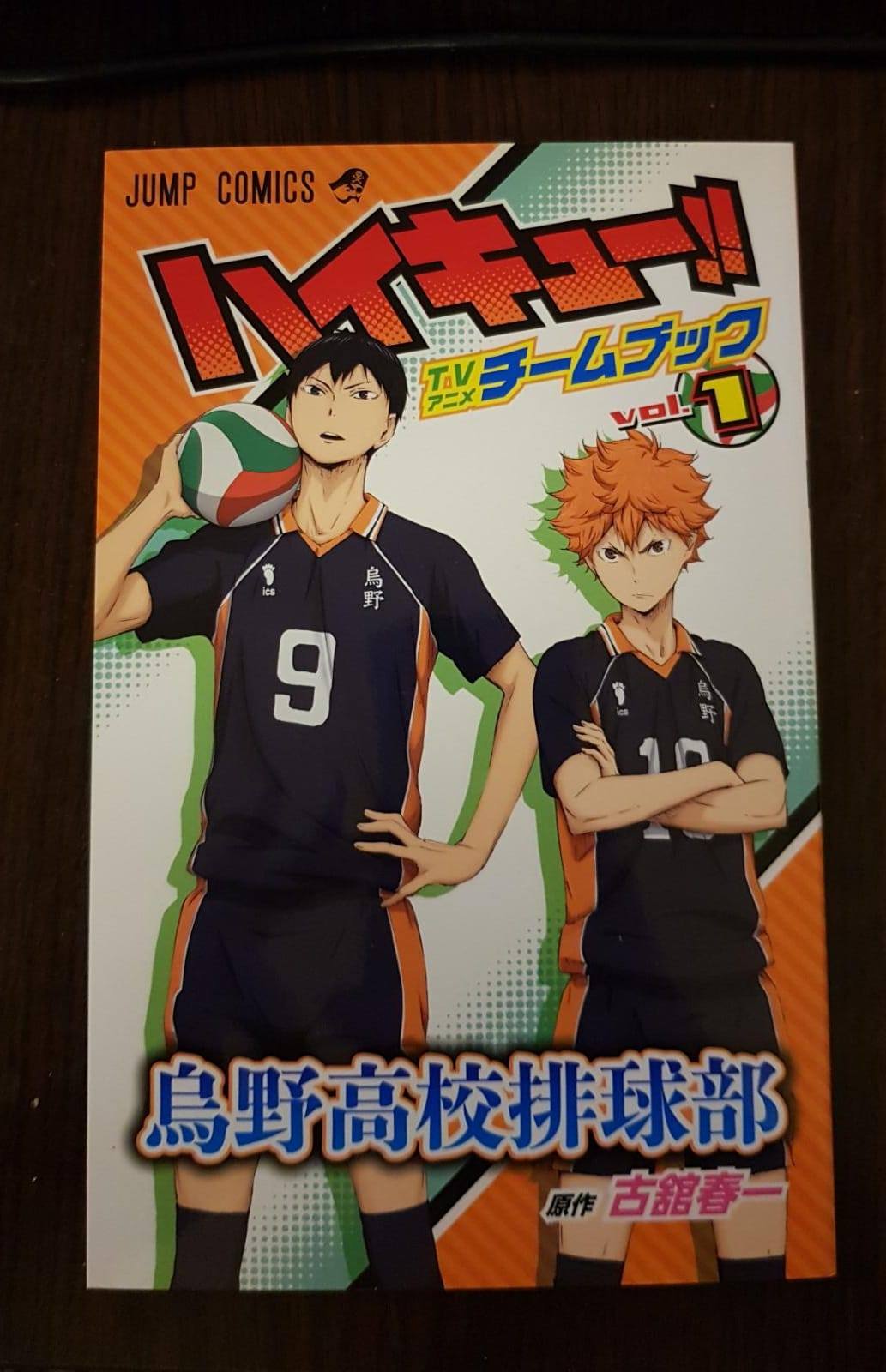 Haikyu!! Team Book Vol. 1 Karasuno