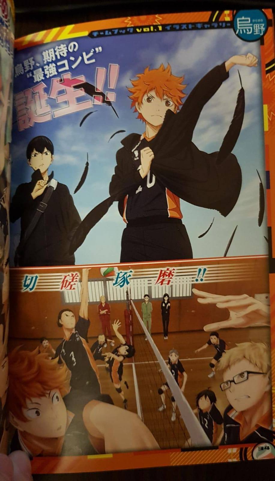 Haikyu!! Team Book Vol. 1 Karasuno