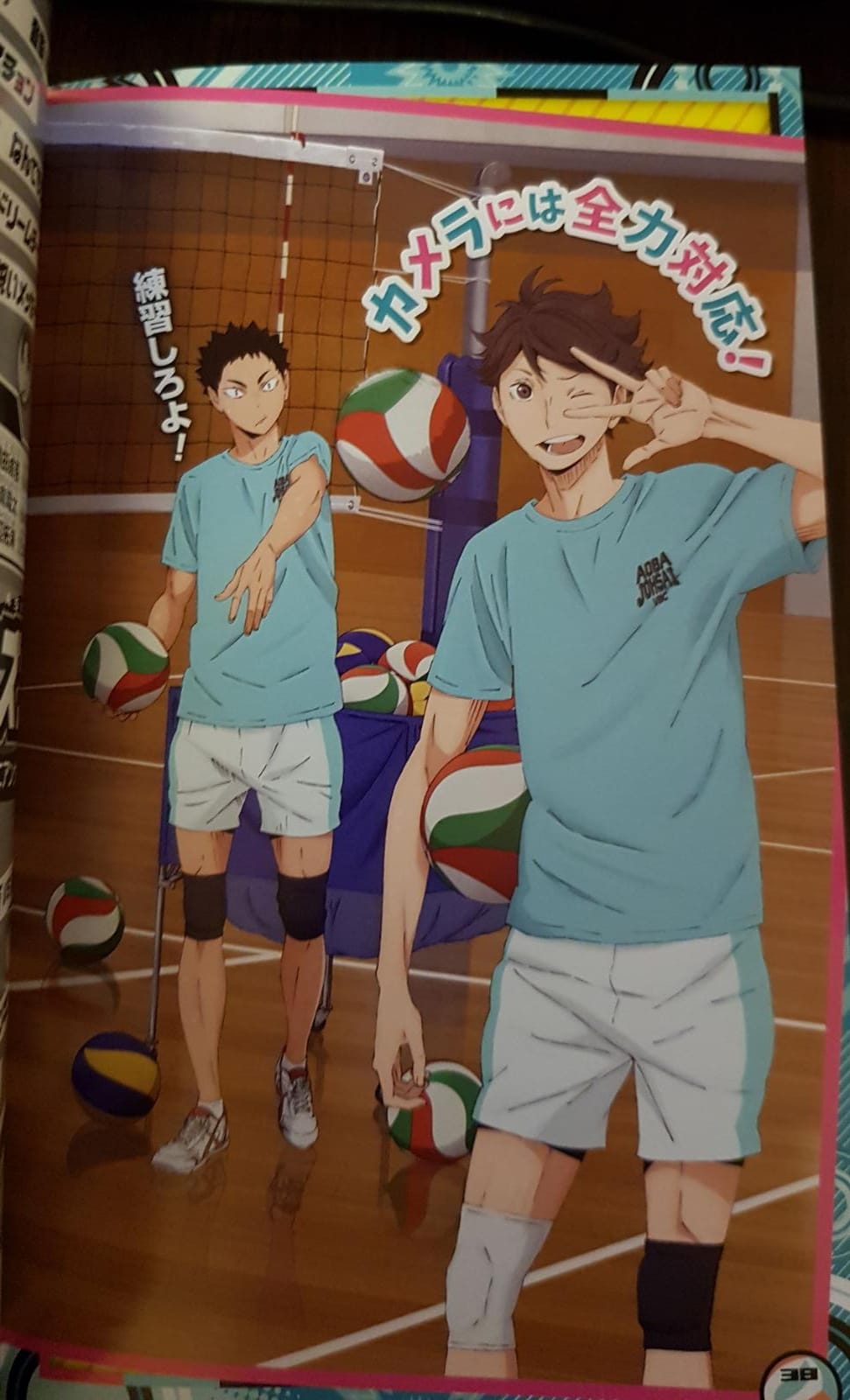 Haikyu!! Team Book Vol. 2 Nekoma, Aoba Johsai