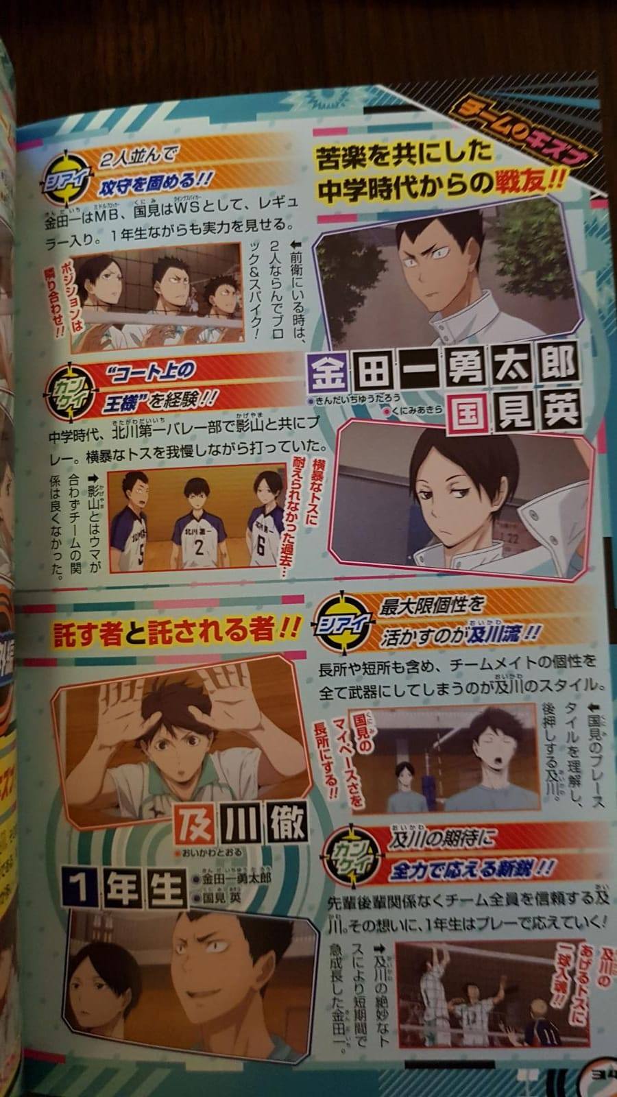 Haikyu!! Team Book Vol. 2 Nekoma, Aoba Johsai