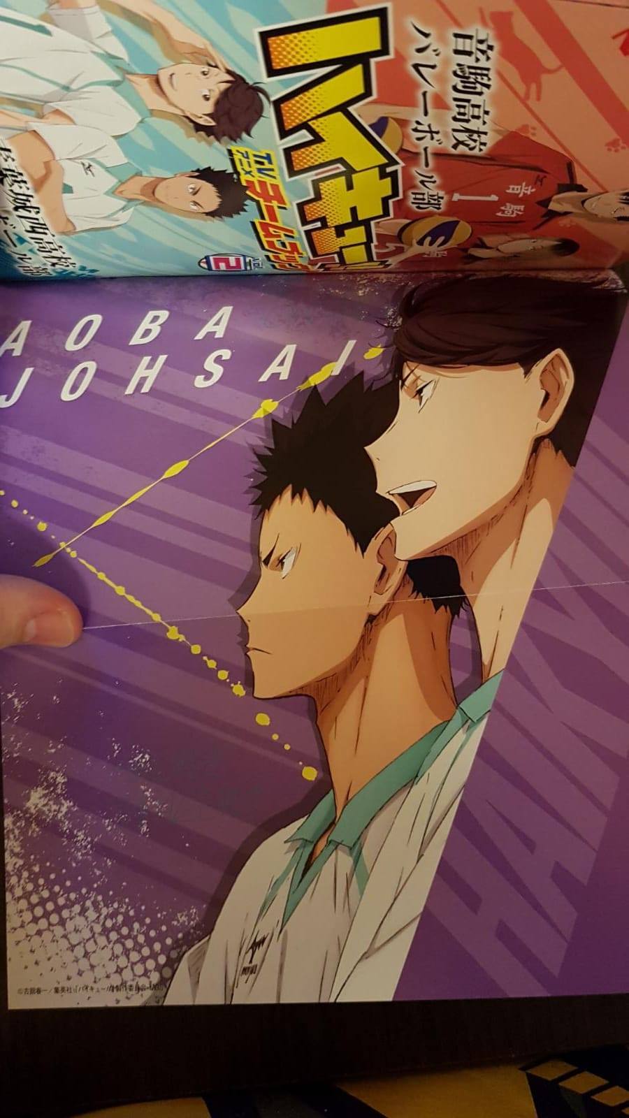 Haikyu!! Team Book Vol. 2 Nekoma, Aoba Johsai