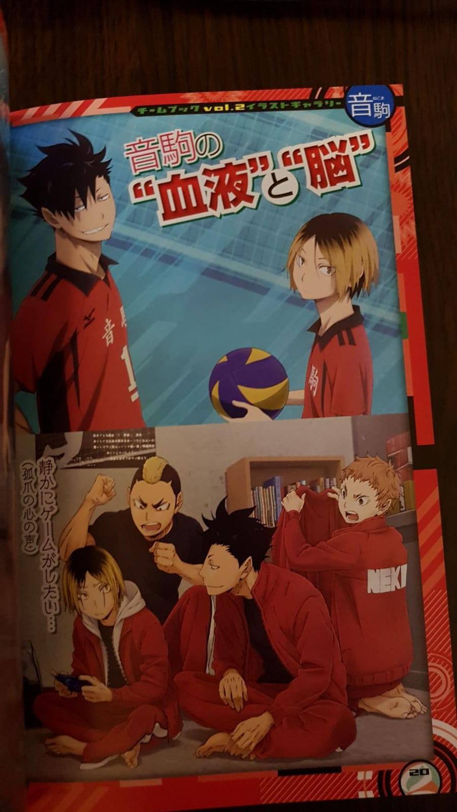 Haikyu!! Team Book Vol. 2 Nekoma, Aoba Johsai