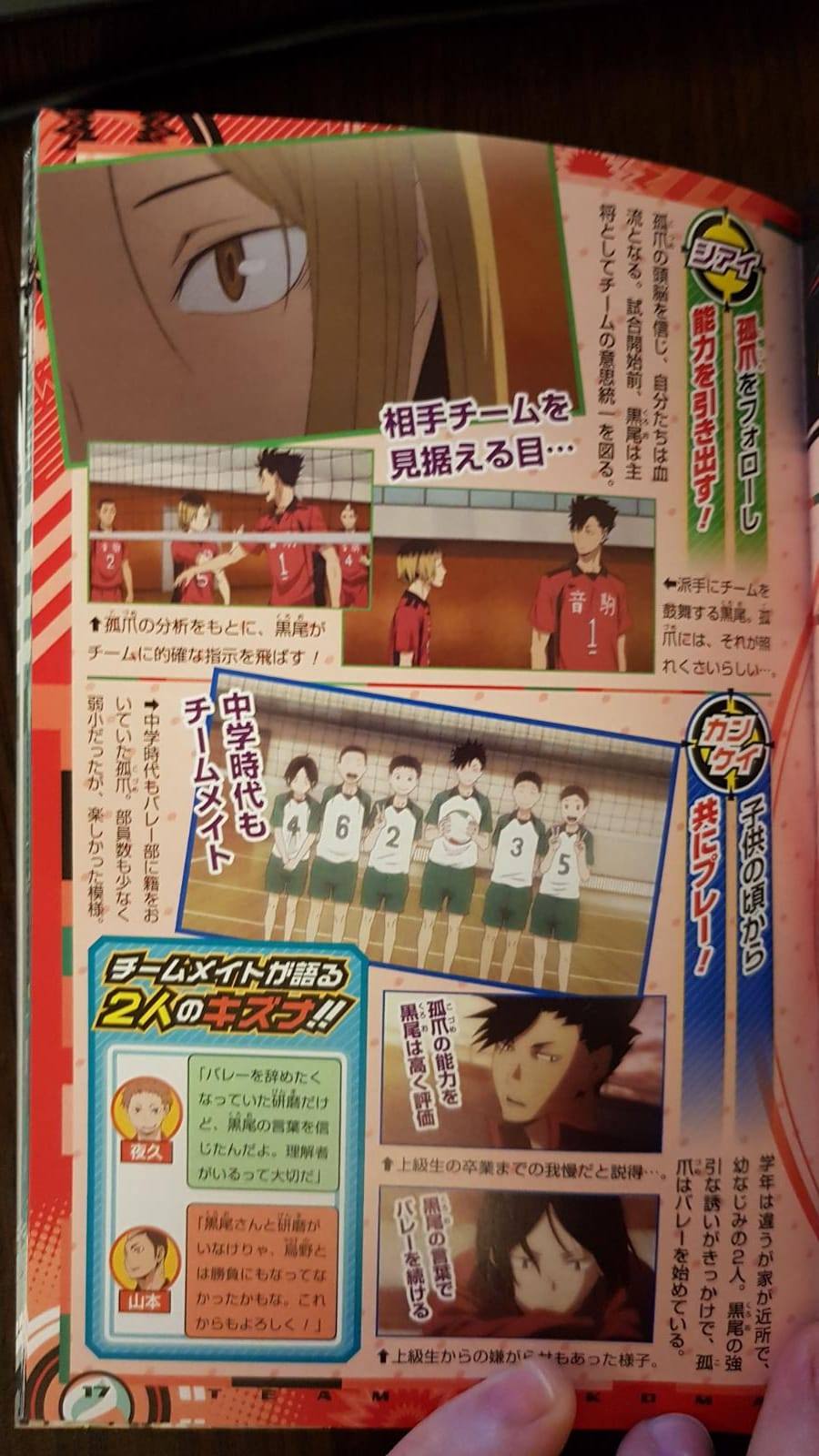 Haikyu!! Team Book Vol. 2 Nekoma, Aoba Johsai