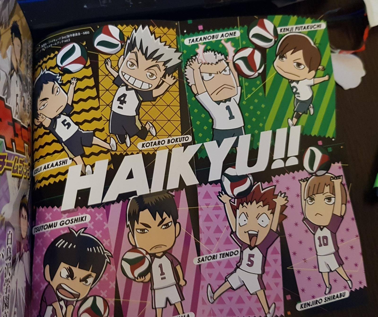 Haikyu!! Team Book Vol. 3 Fukurodani, Shiratorizawa, Dateko