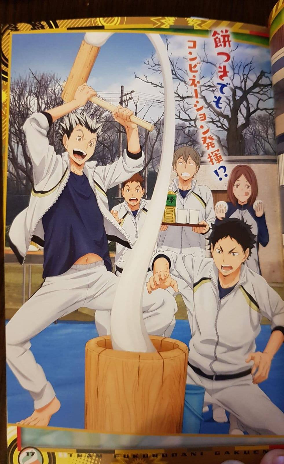 Haikyu!! Team Book Vol. 3 Fukurodani, Shiratorizawa, Dateko