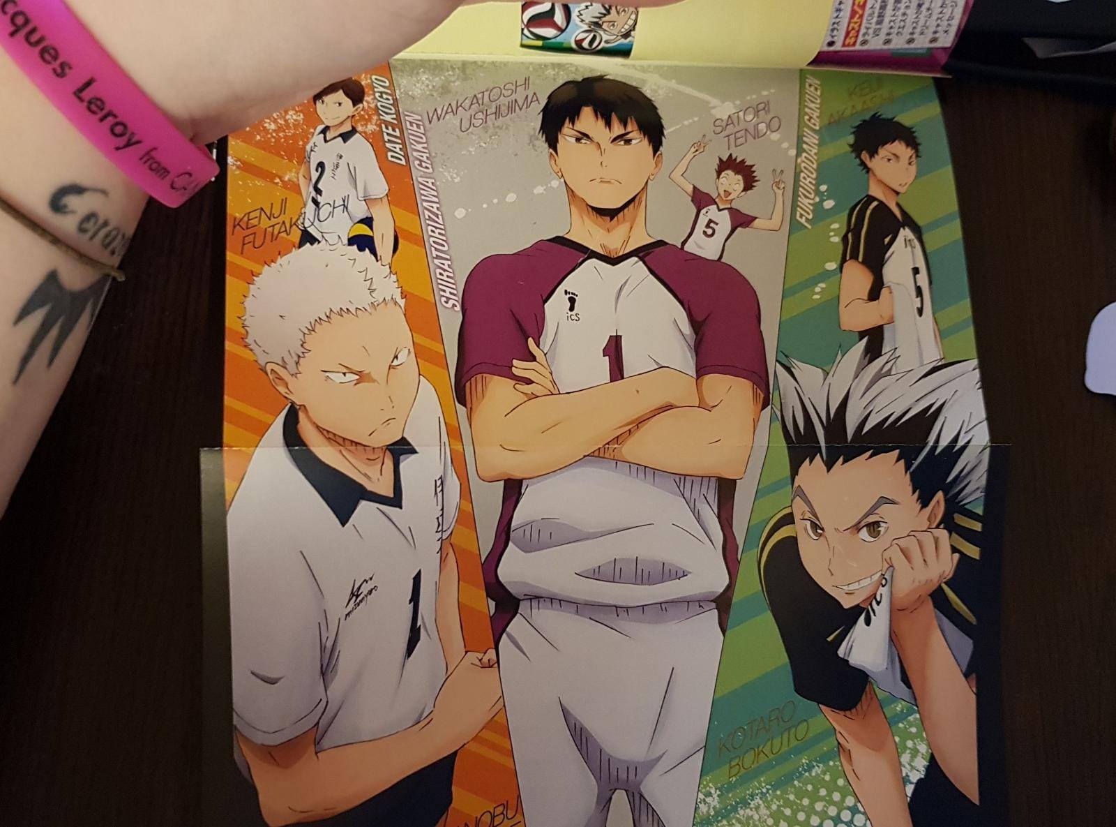 Haikyu!! Team Book Vol. 3 Fukurodani, Shiratorizawa, Dateko