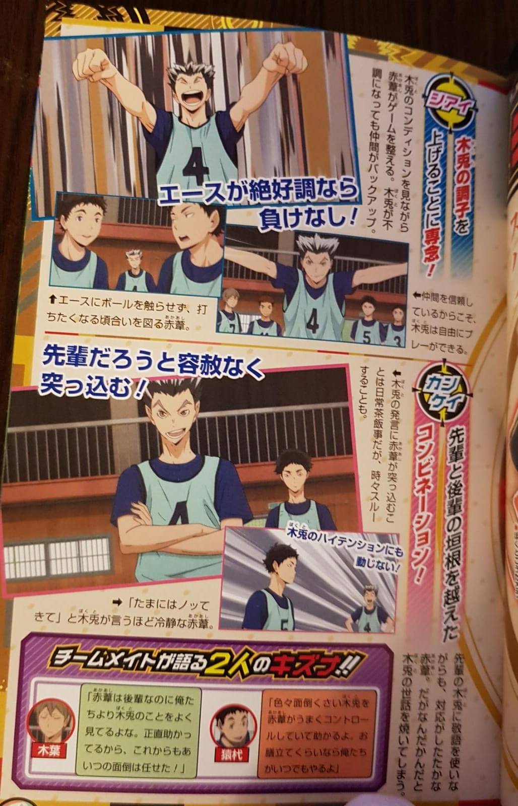 Haikyu!! Team Book Vol. 3 Fukurodani, Shiratorizawa, Dateko