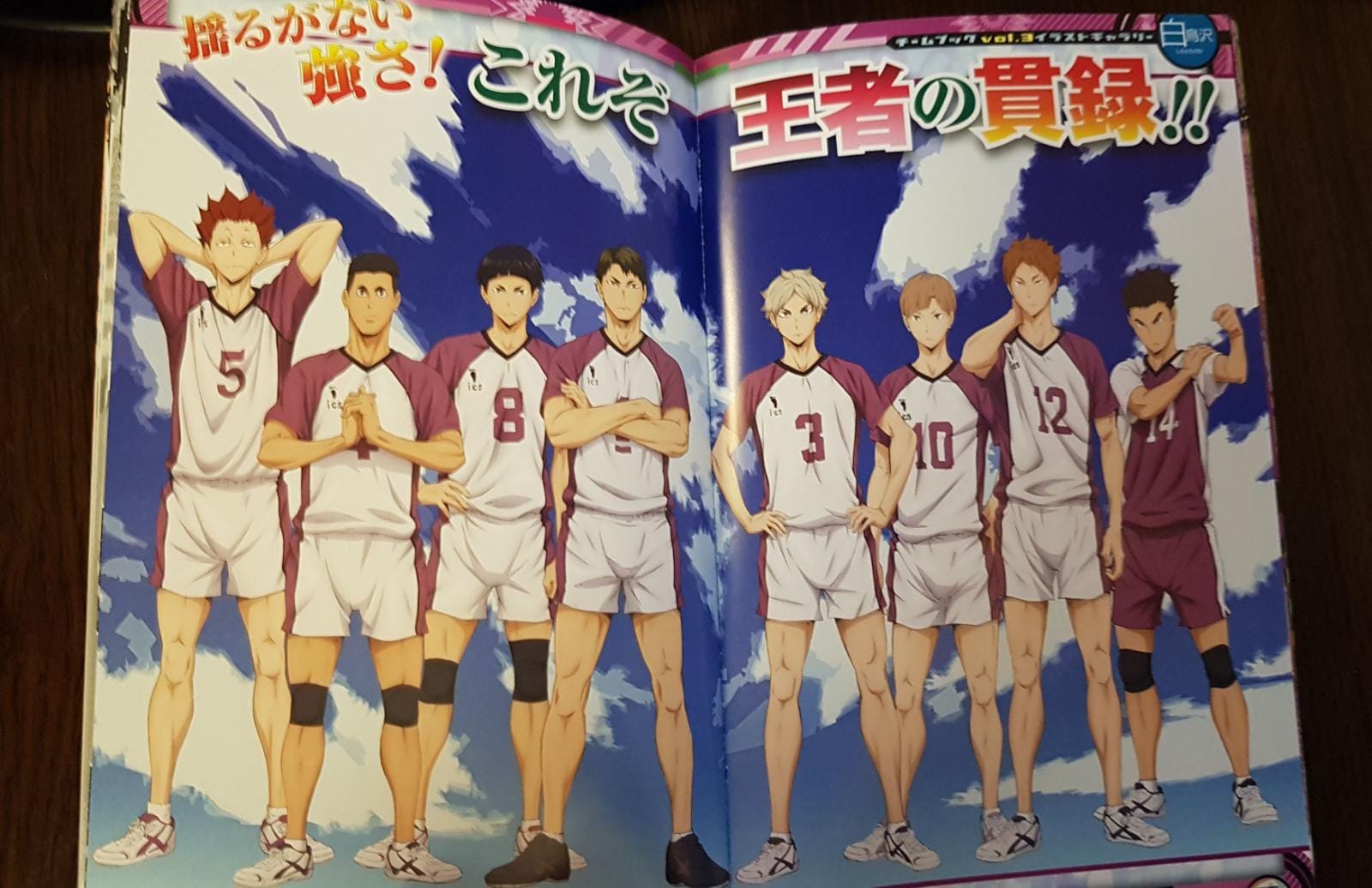 Haikyu!! Team Book Vol. 3 Fukurodani, Shiratorizawa, Dateko