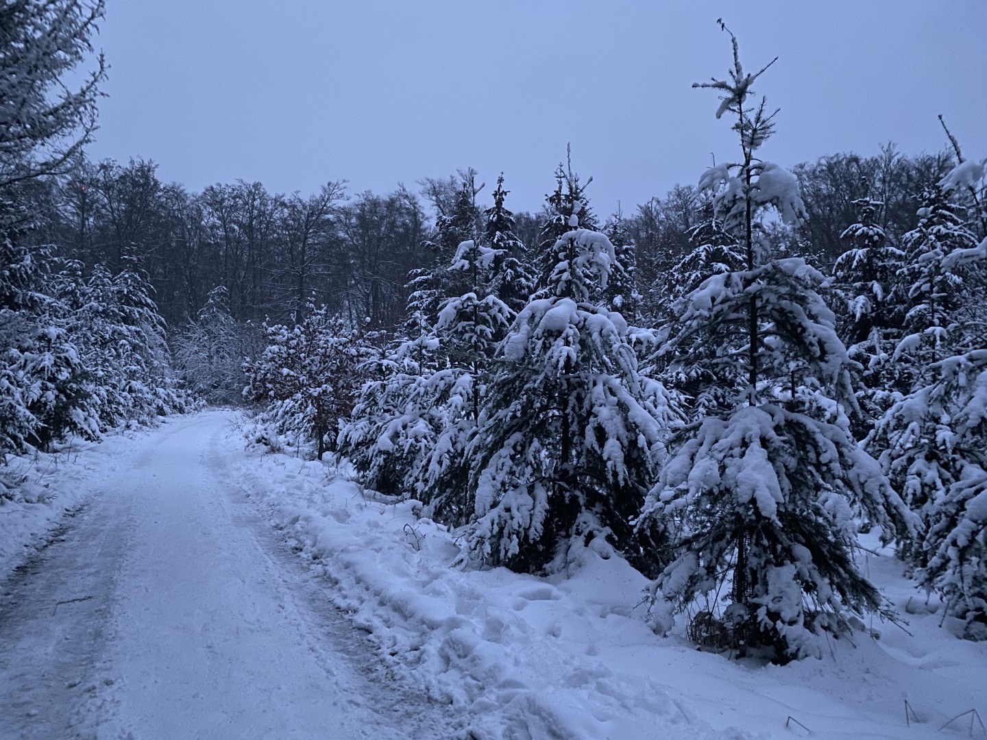 Schnee gibts hier auch