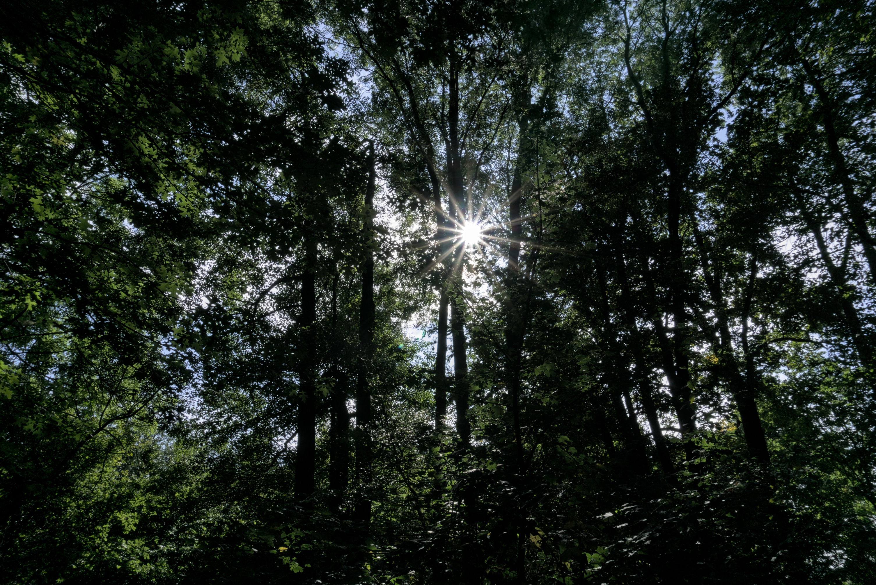 Ausflug zum Verler See - Teil 1 "Sonnenstern"