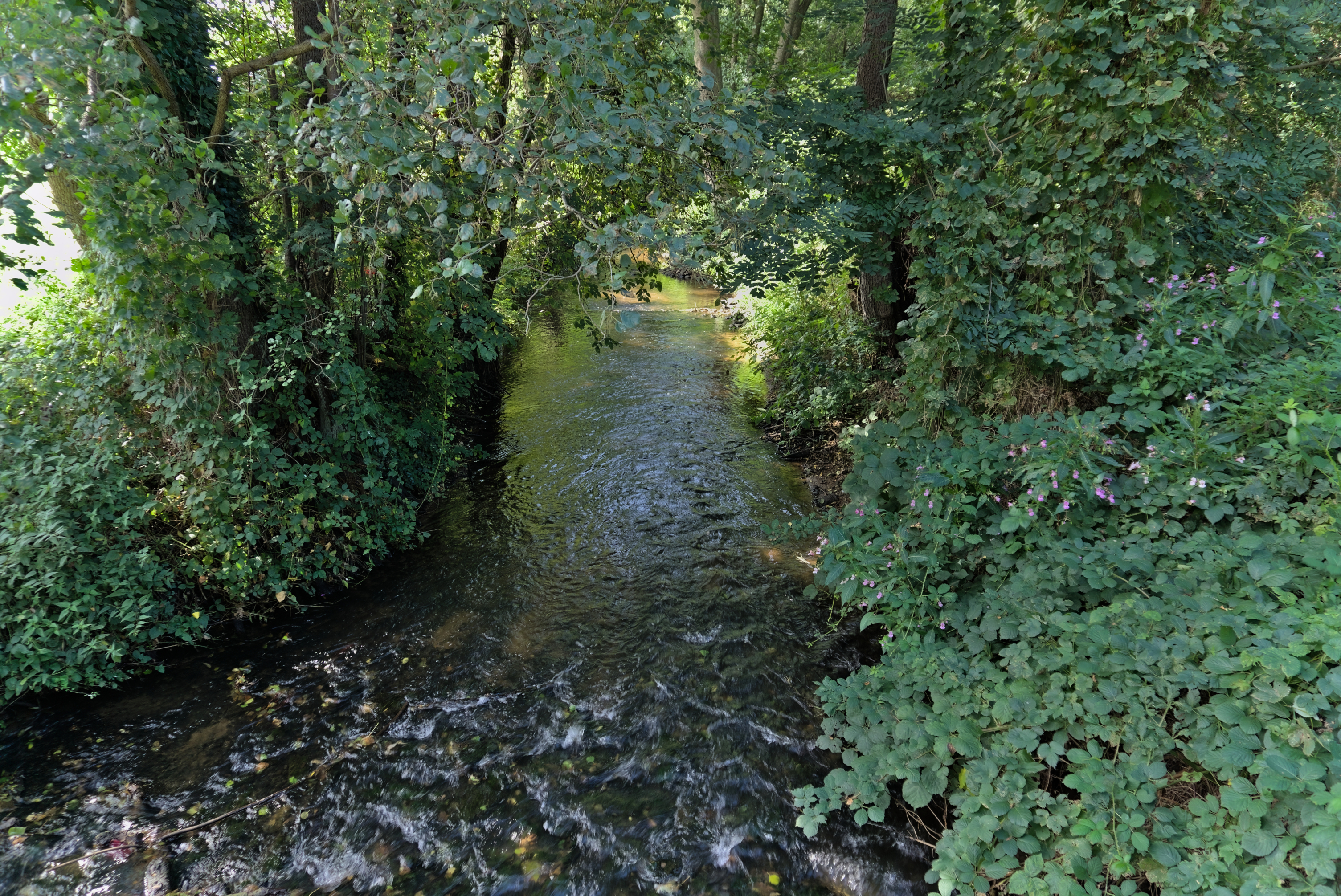 Ausflug zum Verler See - Teil 2 "Ölbach"