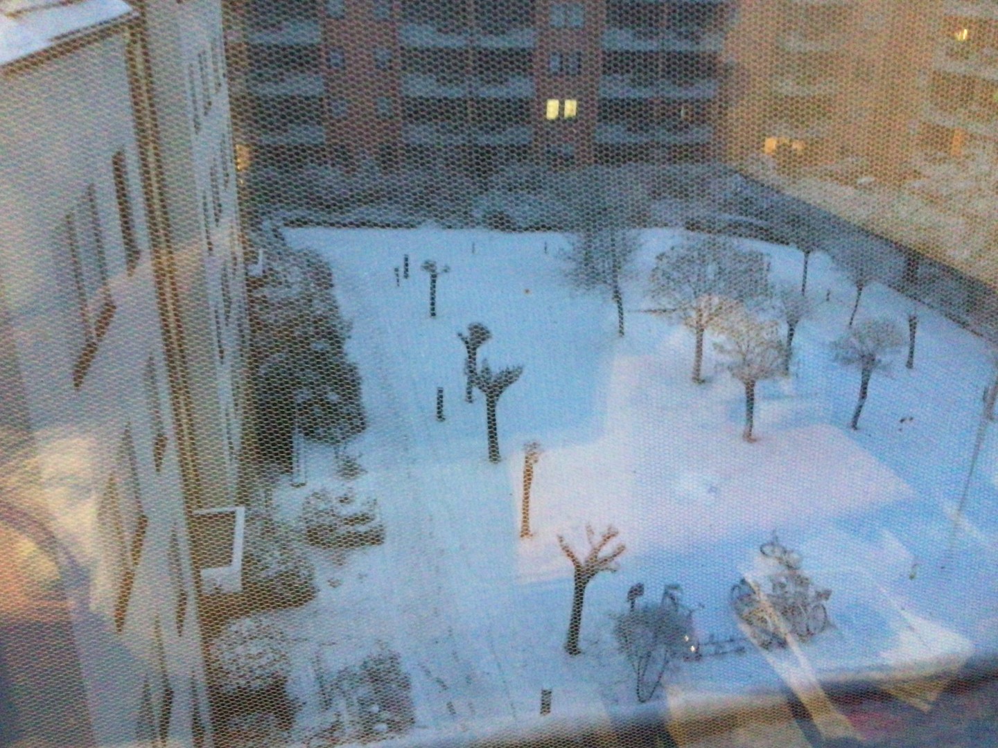 Blick aus dem Fenster ( vor der Schneeballschlacht)