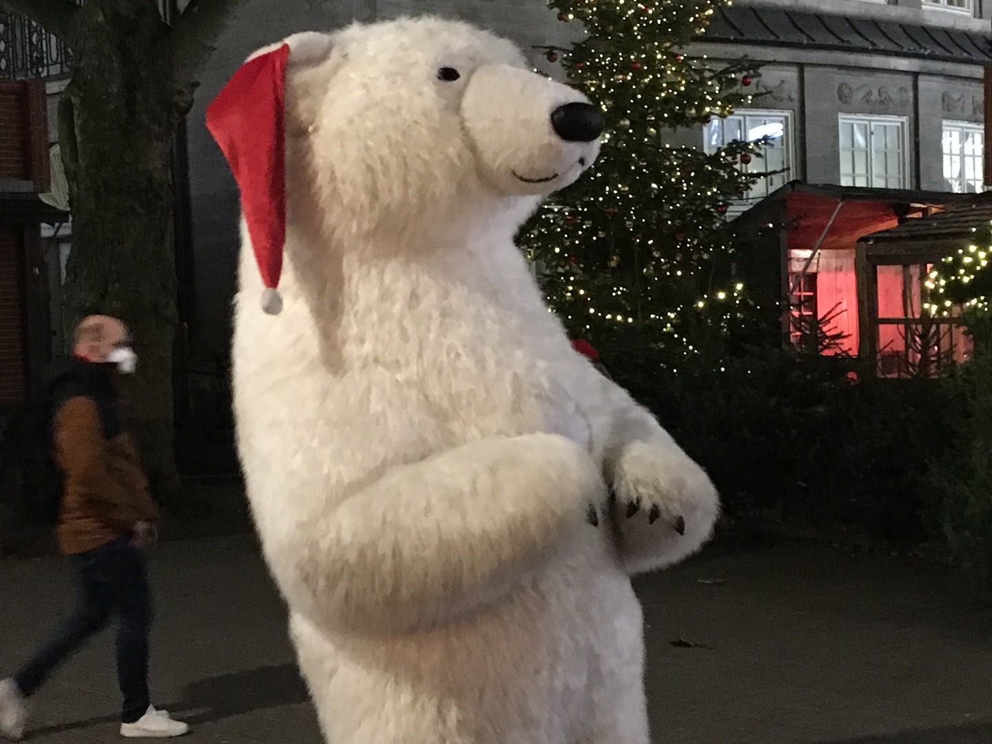 Weihnachtsbär