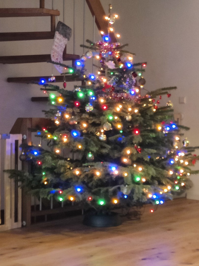 Weihnachtsbaum