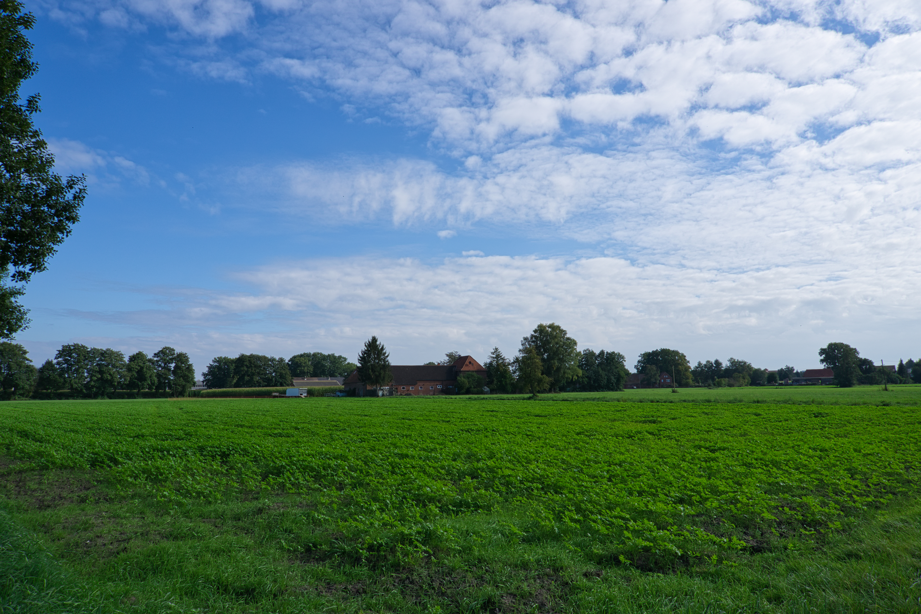 Ausflug zum Verler See - Teil 6 "Bauernhöfe"