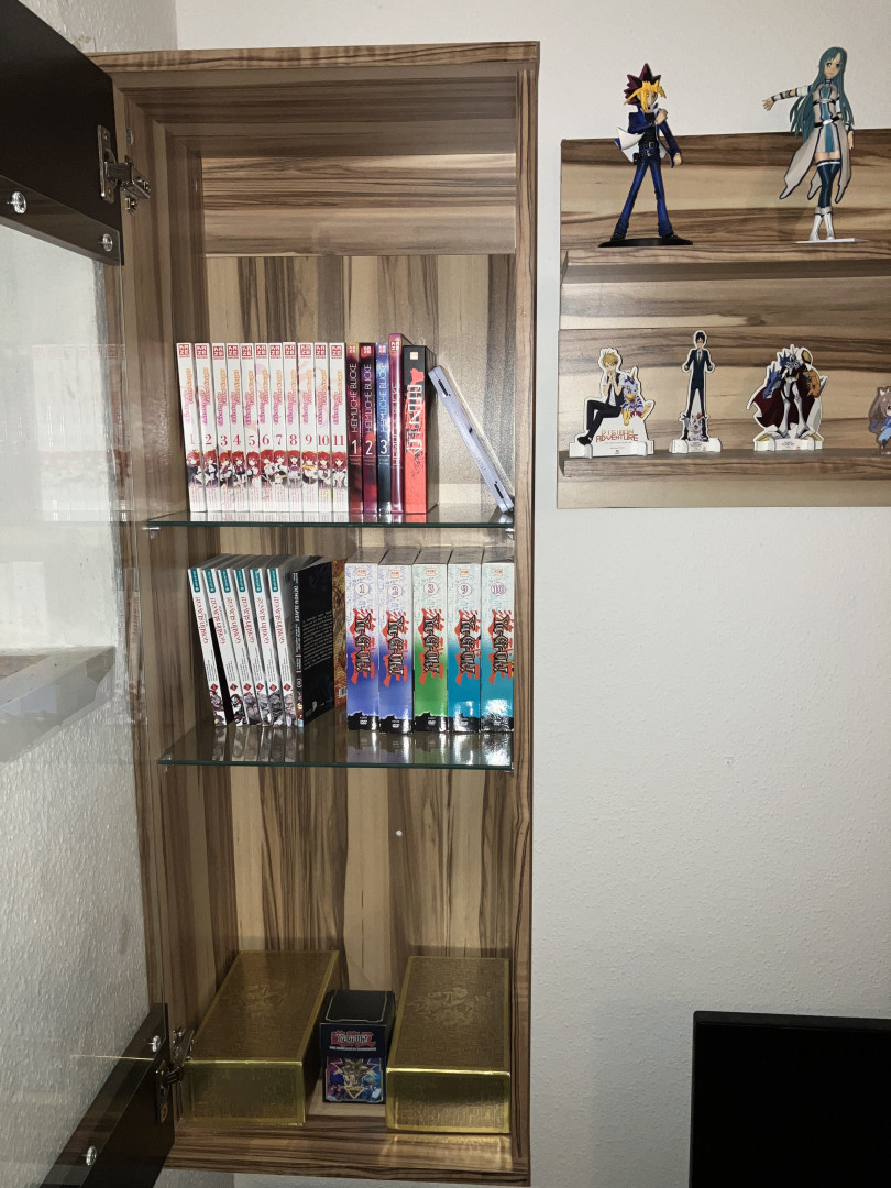 Mangas und Merchandise