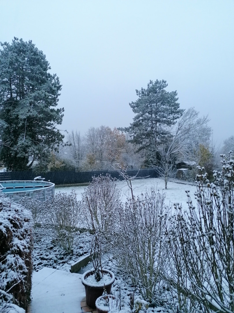 Let it snow "Weihnachten in meinem Garten"