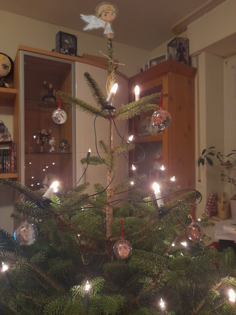 Ein  Chris(t)baum zu Weihnachten