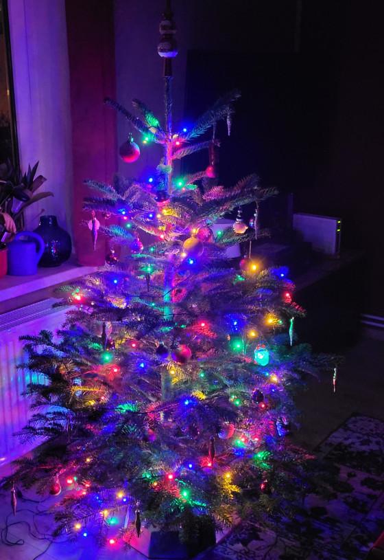 #Weihnachtsevent2022 Der Weihnachtsbaum, diesmal im Dunklen.