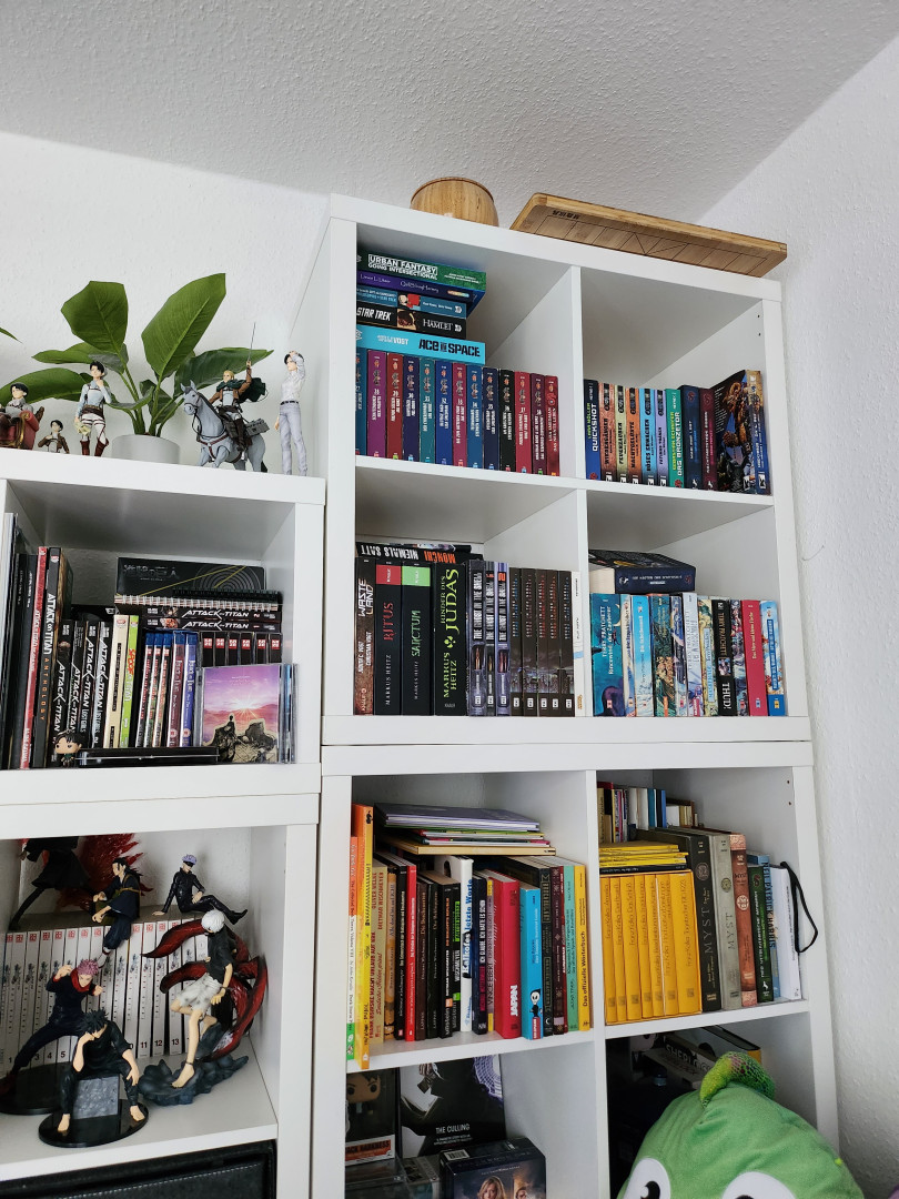 Bücher und Manga im Hause N3rdine