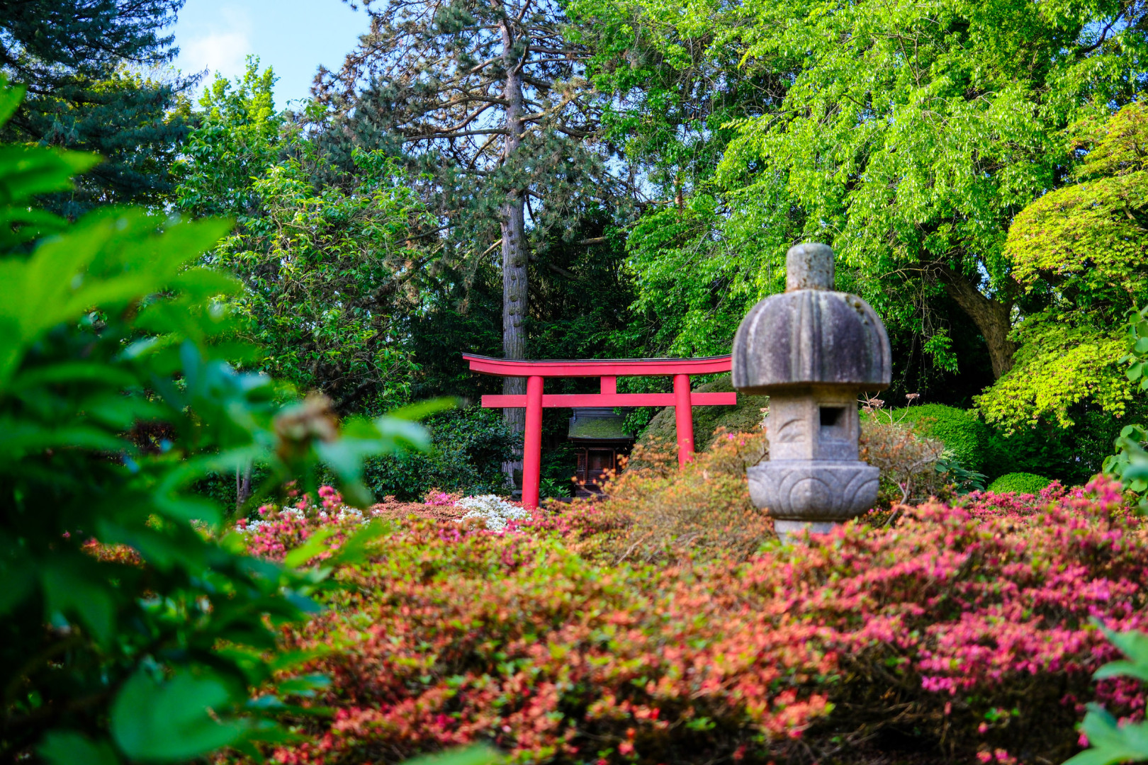 Japansicher Garten