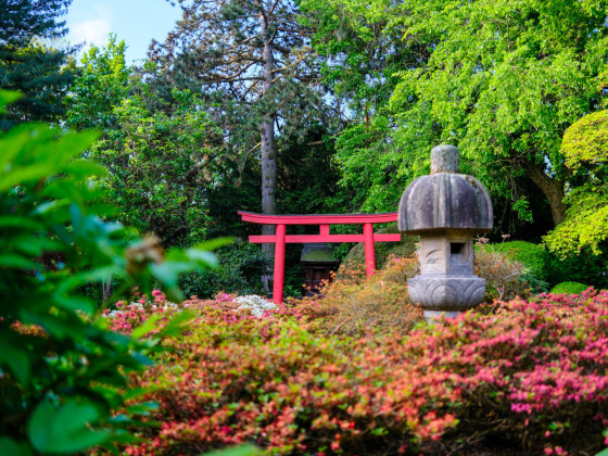 Japansicher Garten
