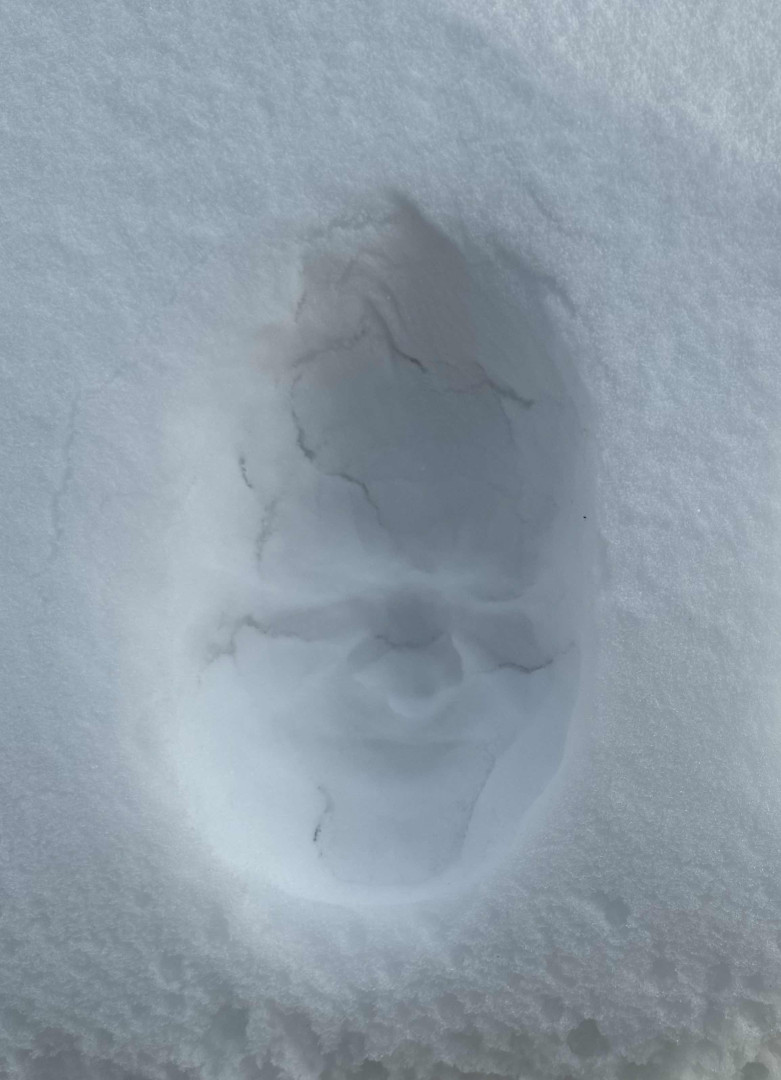 Hab mein Gesicht in den Schnee gedrückt