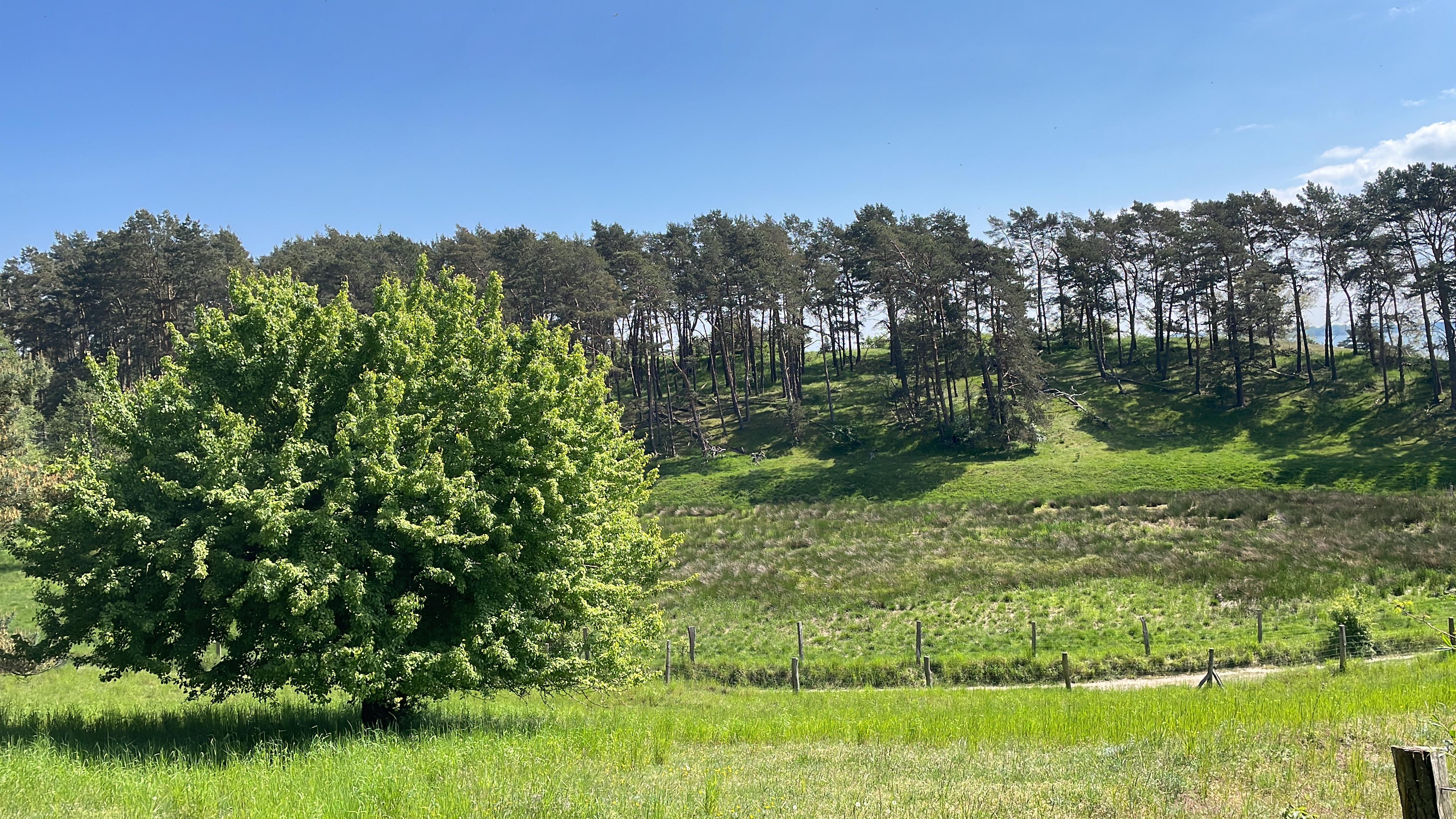 Usedom 10.05.2024