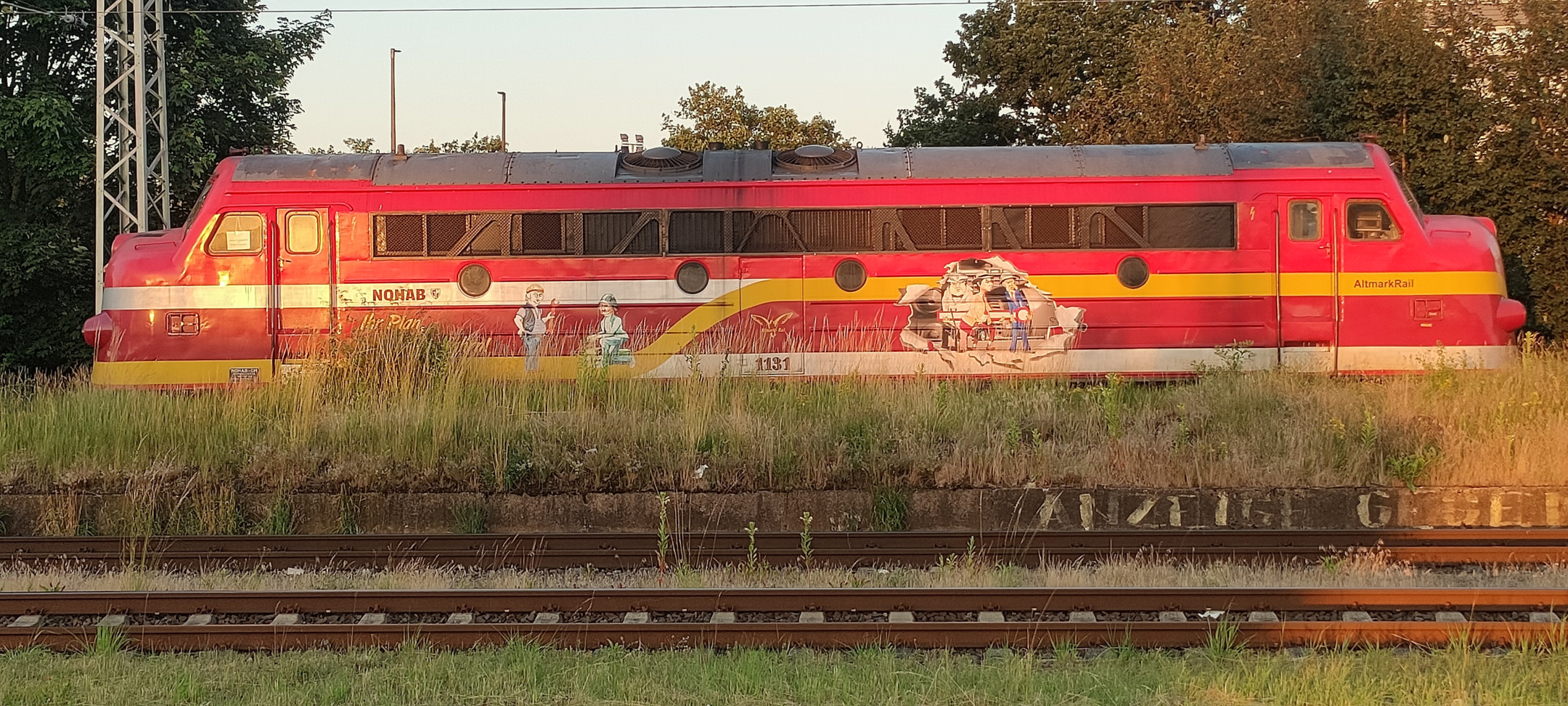 NOHAB MY 1131, Bremen Neustadt Bhf 24.06.2024