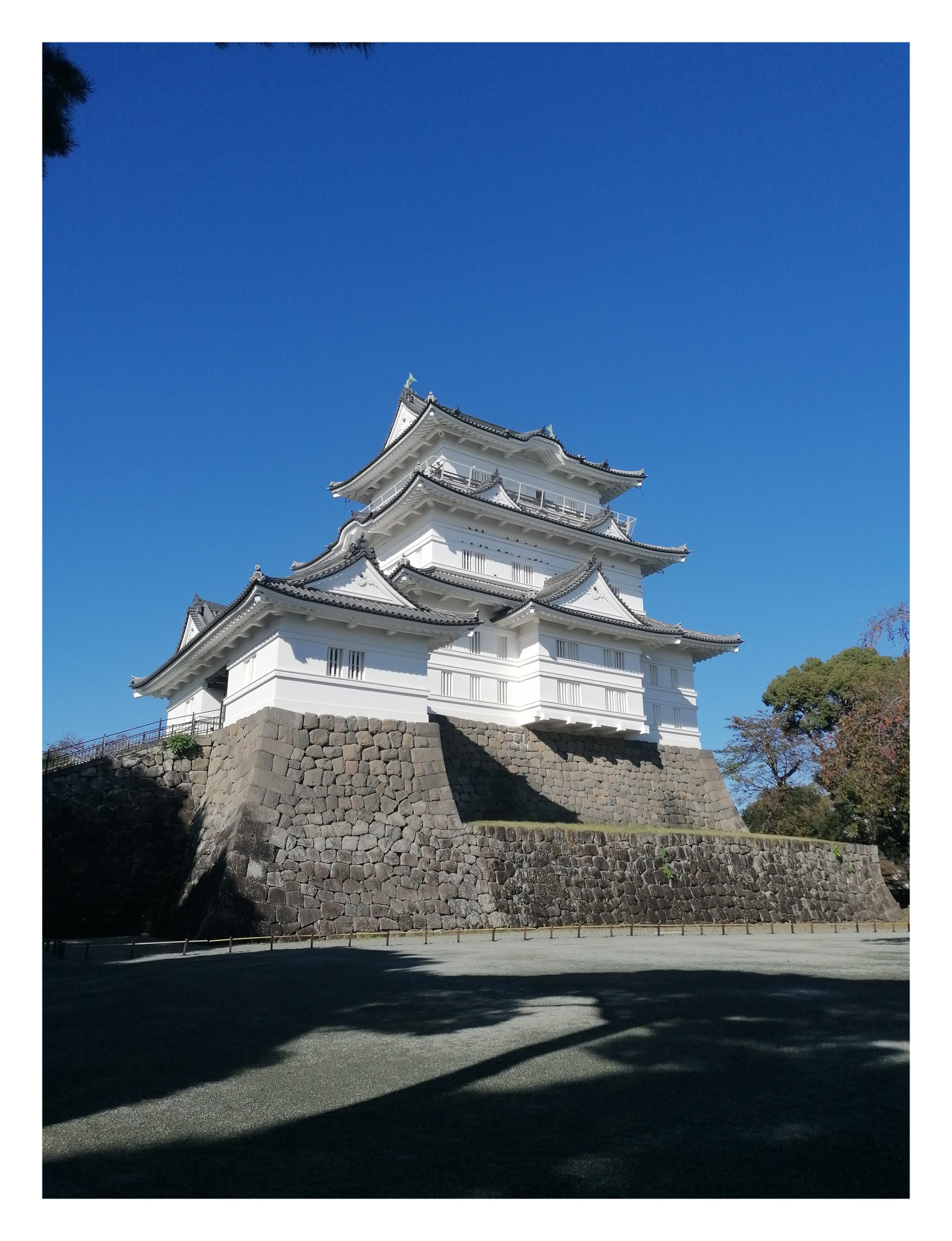 Odawara Castle 🏯