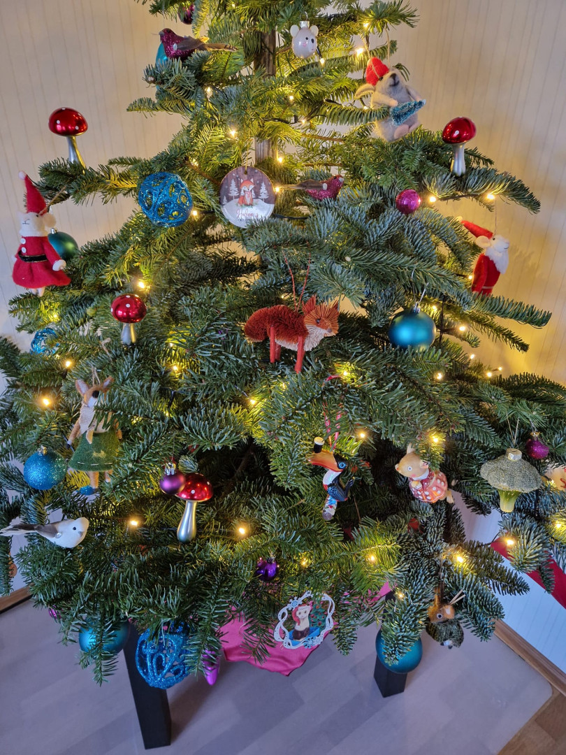 Weihnachtsbaum (Türchen Nr. 17)