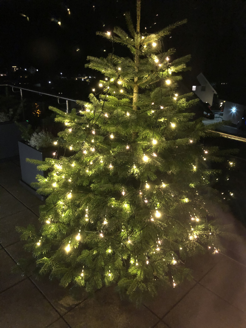 Weihnachtsbaum