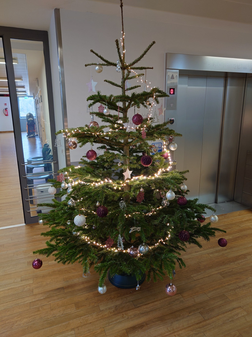 Weihnachtsbaum vor dem Eingang