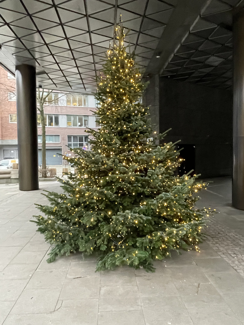 Dienstlicher Tannenbaum